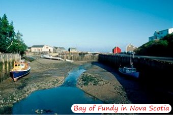 Harbour in the Bay of Fundy, Nova Scotia