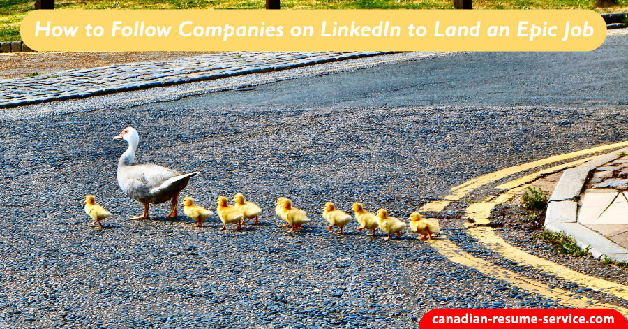 How to Follow Companies on LinkedIn to Land an Epic Job